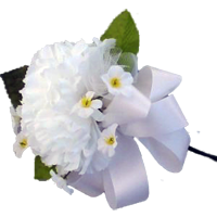 White Carnation
