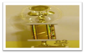 WOTY Trophy