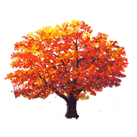 Oak Tree - Green